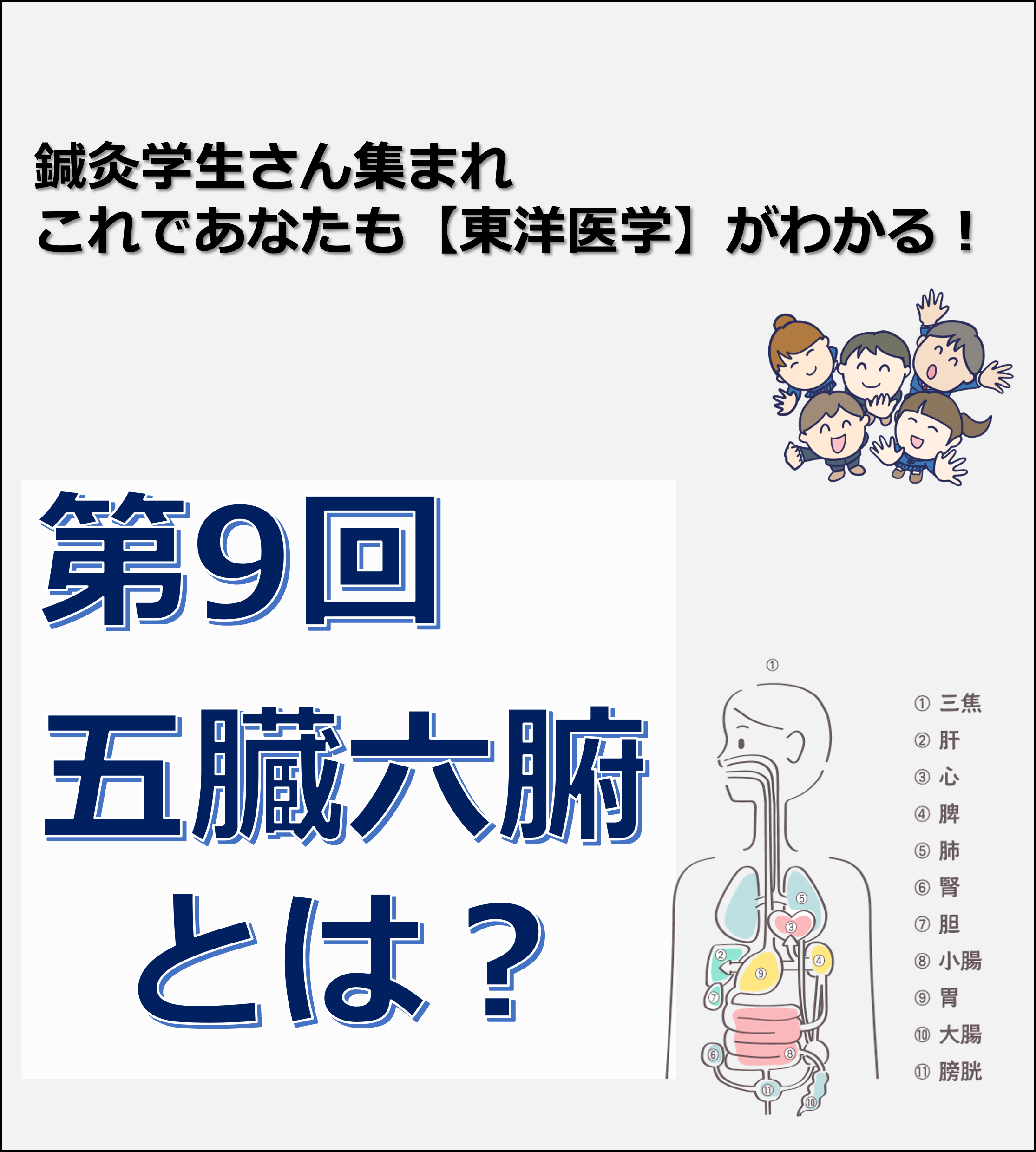 鍼灸学生さん集まれこれであなたも東洋医学がわかる第9回 五臓六腑とは りょうじのブログ Cmon